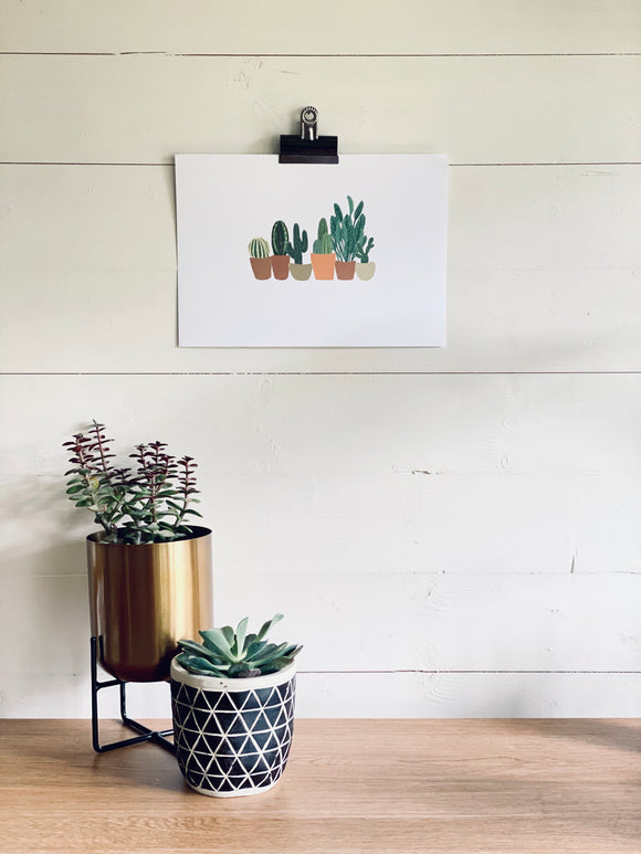 Collection of Cacti Print