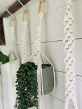 Macrame Plant Hanger