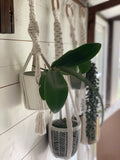 Macrame Plant Hanger