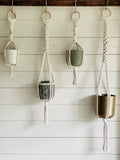 Macrame Plant Hanger